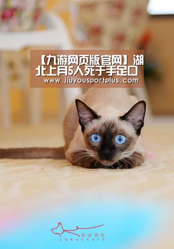九游网页版官网