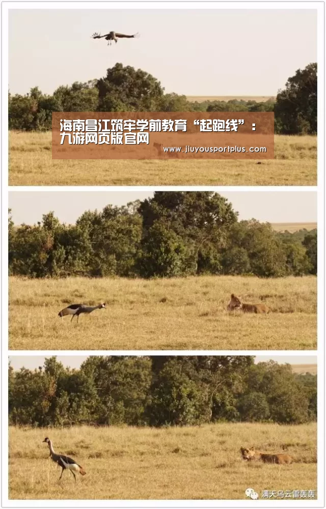 九游官网