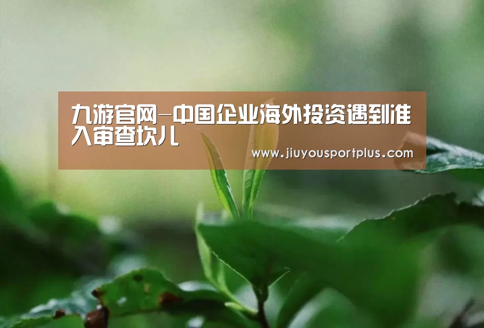 九游官网-中国企业海外投资遇到准入审查坎儿(图3)