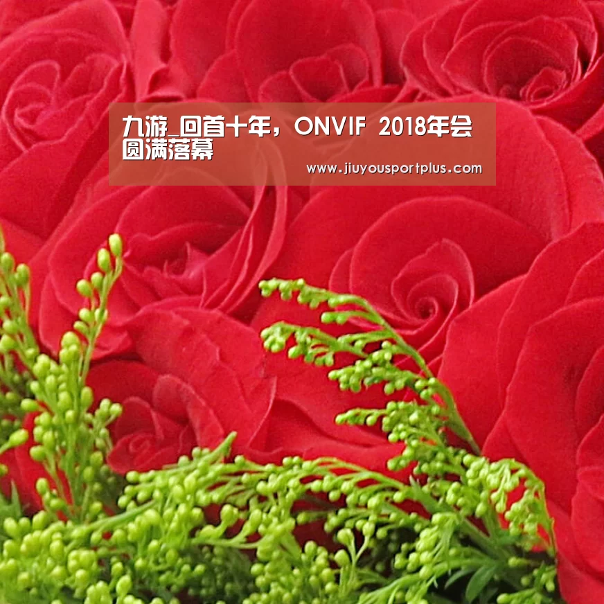 九游_回首十年，ONVIF 2018年会圆满落幕