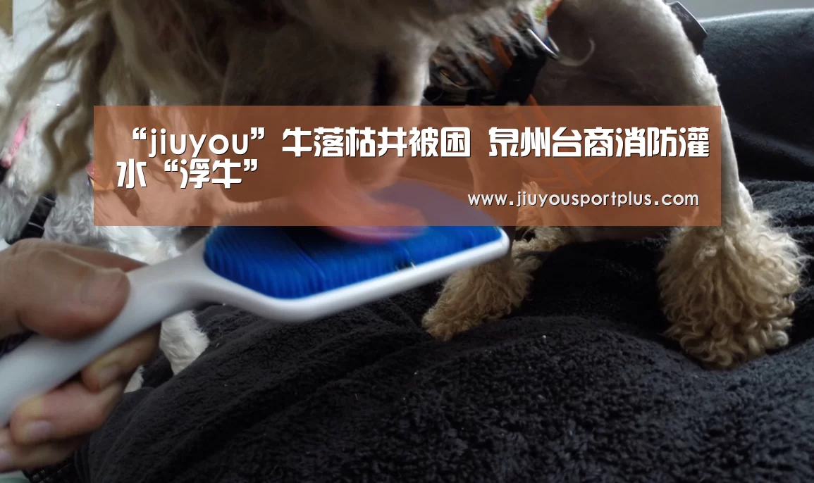 “jiuyou”牛落枯井被困  泉州台商消防灌水“浮牛”(图2)