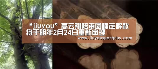 “jiuyou”高云翔陪审团确定解散 将于明年2月24日重新审理